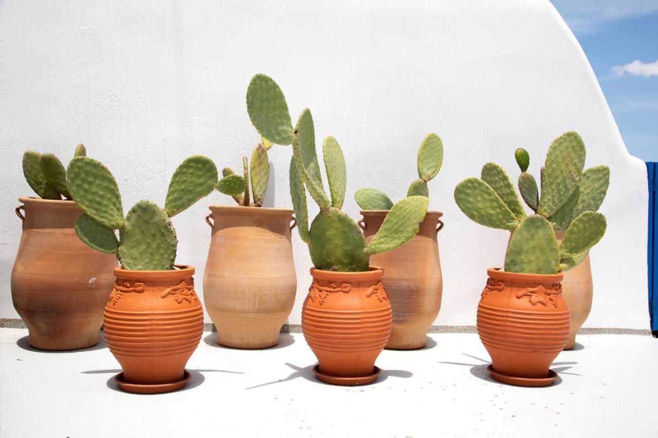Amphora Villas Santorini Akrotiri Akrotírion 外观 照片